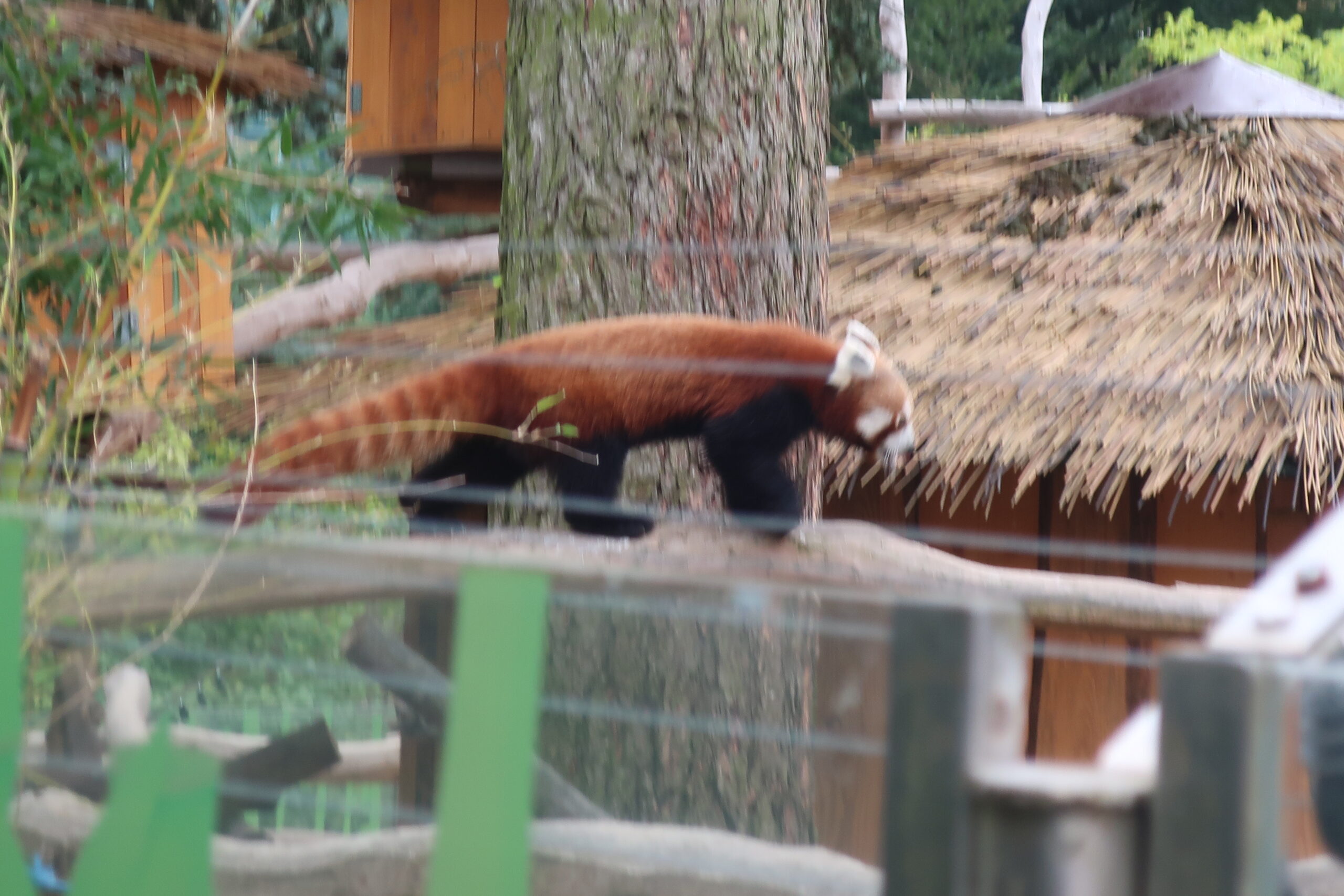 G4 na exkurzi v olomoucké ZOO