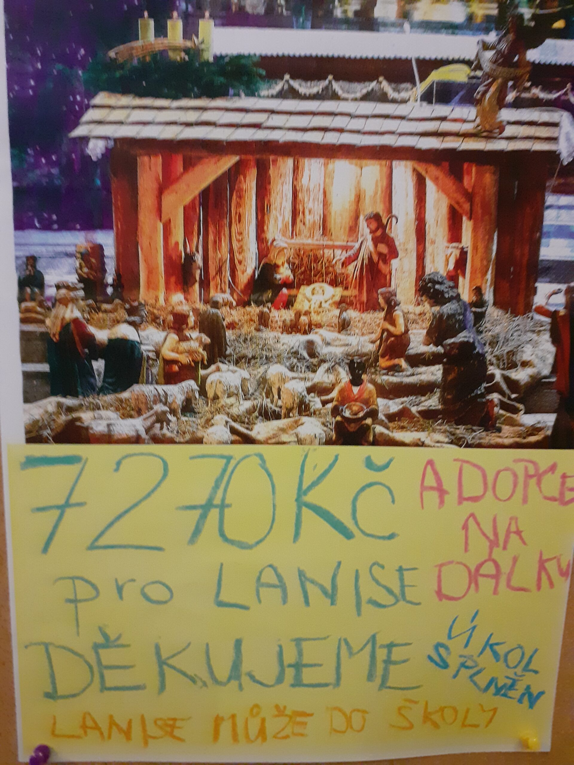 Sbírka pro Adopci na dálku byla úspěšná, děkujeme