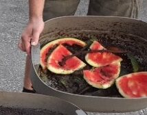 Výukový program o rostlinách a půdě aneb Jak se žije žížalám pro 1. ročníky